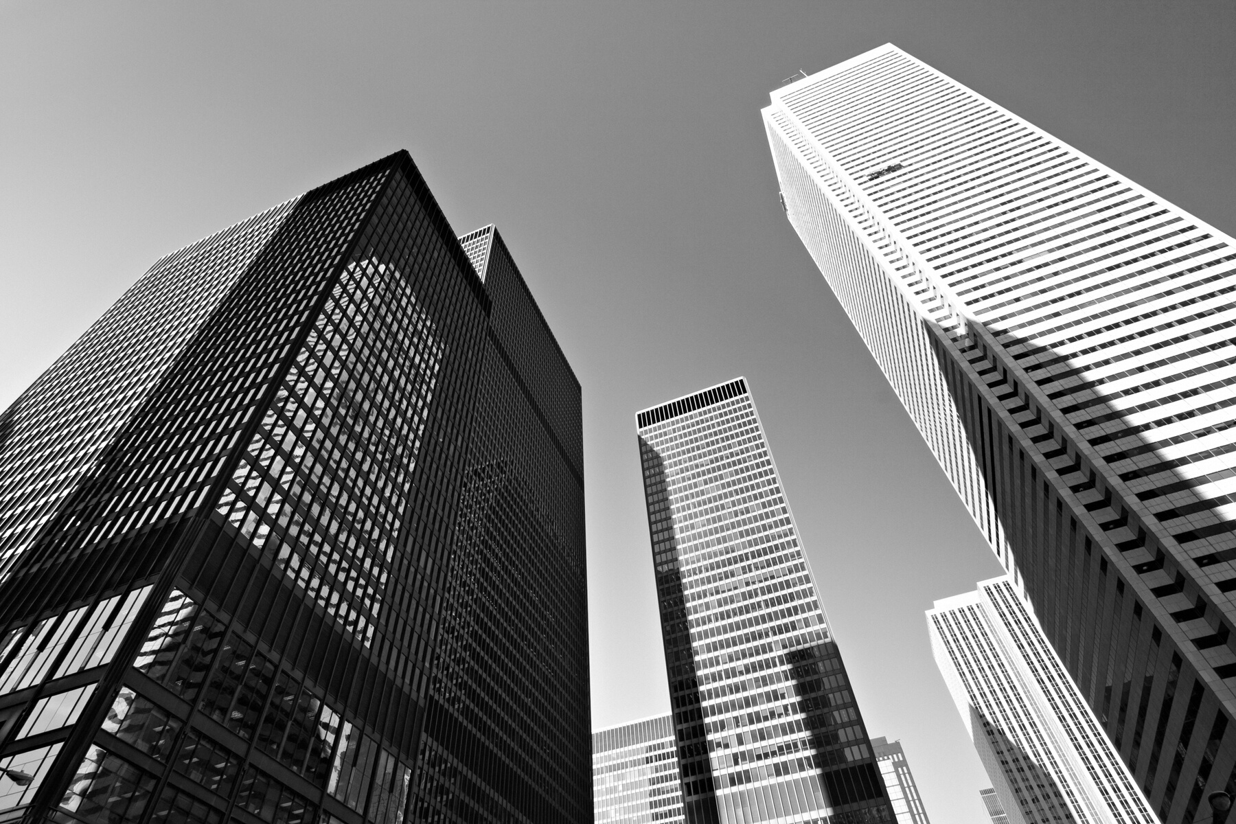 Business Towers in Black and White