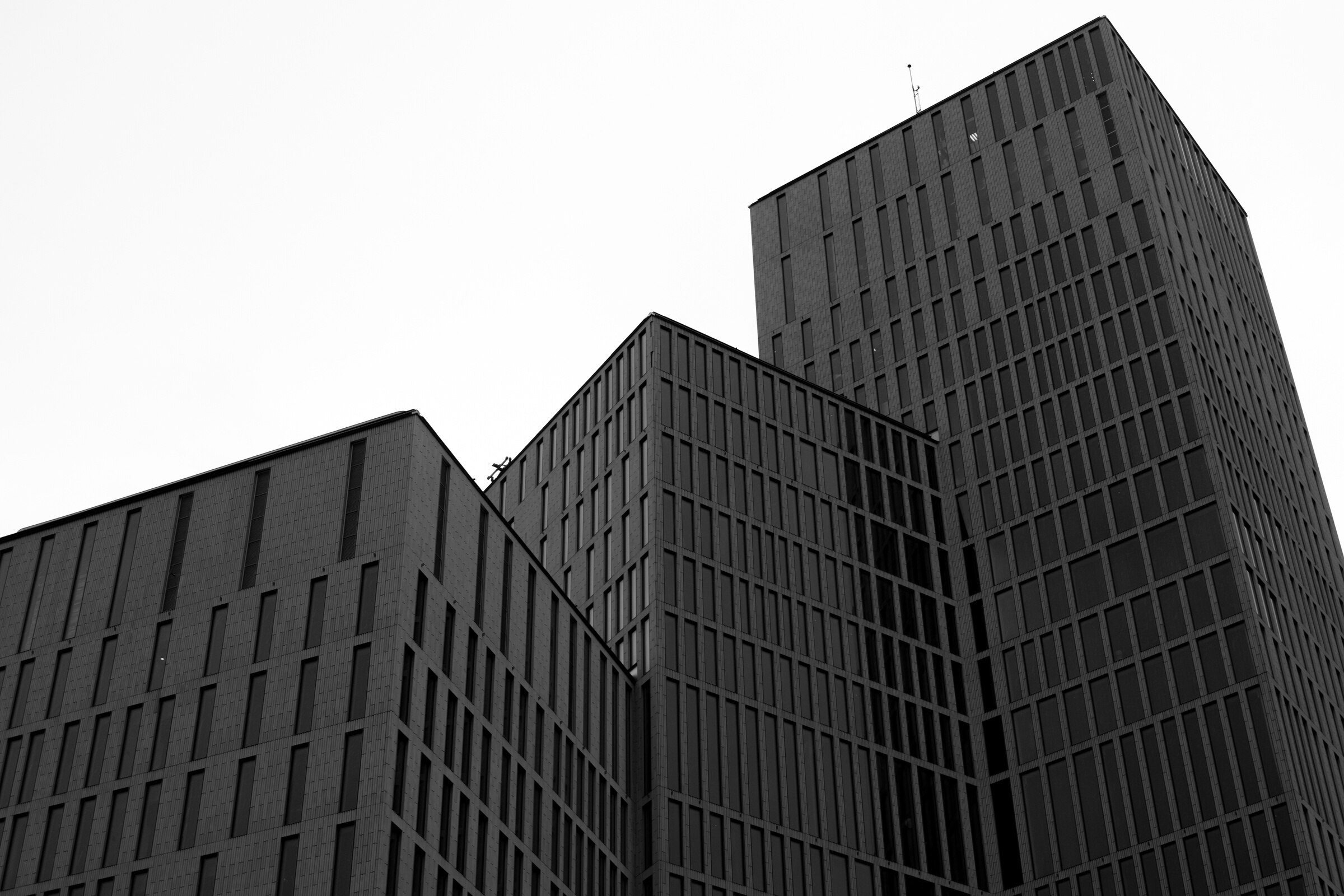 High Rise Buildings in Black and White 